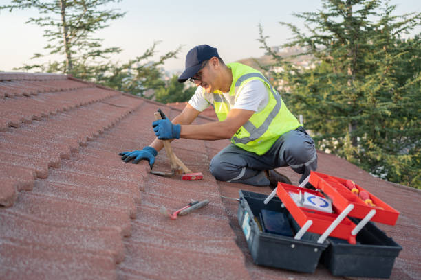Best Flat Roof Repair Services  in Wymore, NE